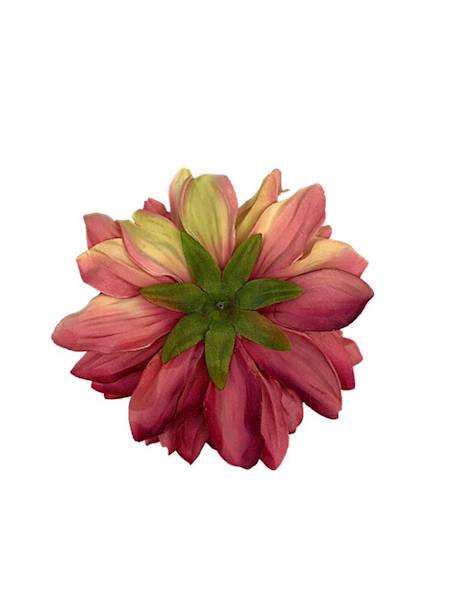 Dalia główka 15 cm różowo żółta