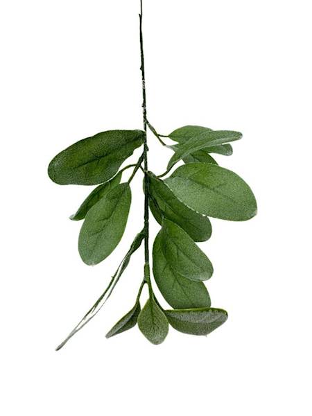 Starzec gałązka 35 cm zielony omszony