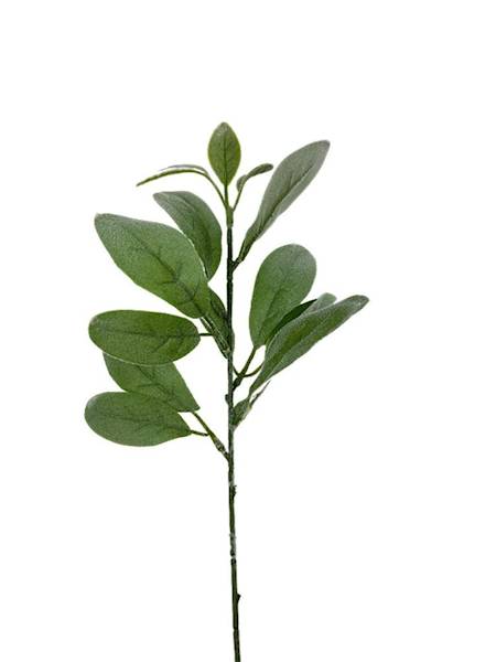 Starzec gałązka 35 cm zielony omszony