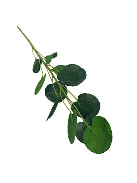 Pilea gałązka 35 cm zielona