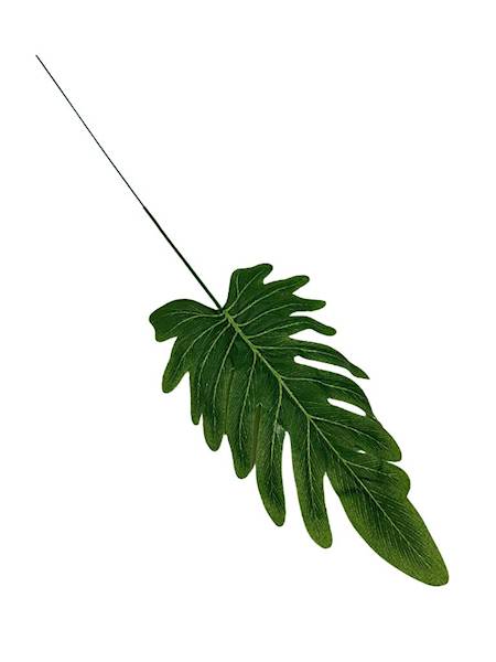 Liść filodendron 47 cm zielony