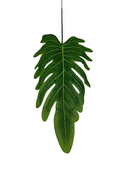 Liść filodendron 47 cm zielony