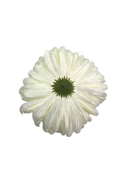 Chryzantema główka XL 16 cm biała