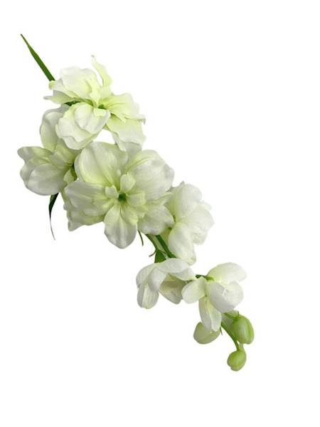 Ostróżka gałązka 44 cm biało zielona