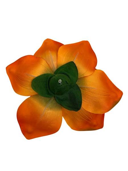 Magnolia główka 22 cm pomarańczowa