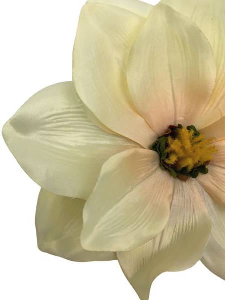Magnolia główka 22 cm kremowa