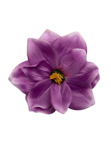 Magnolia główka 22 cm fiolet