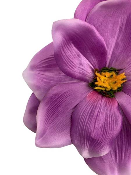 Magnolia główka 22 cm fiolet