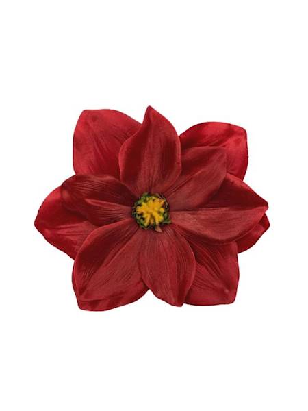 Magnolia główka 22 cm czerwona