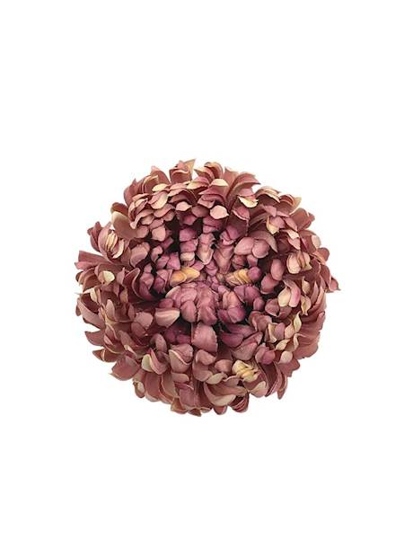 Chryzantema główka XL 16 cm brudny róż