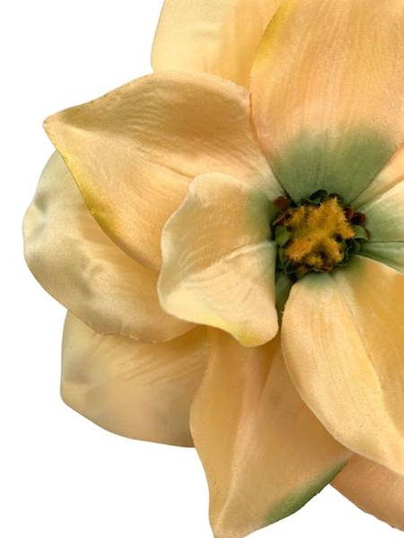 Magnolia główka 22 cm żółta