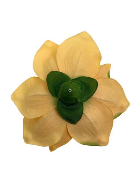 Magnolia główka 22 cm żółta