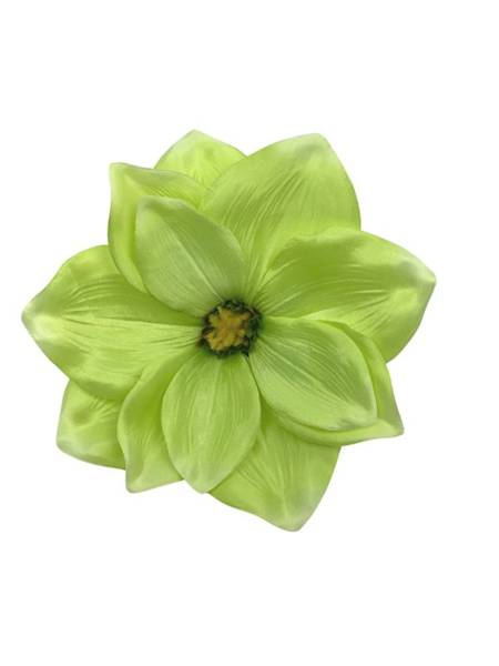 Magnolia główka 22 cm zielona