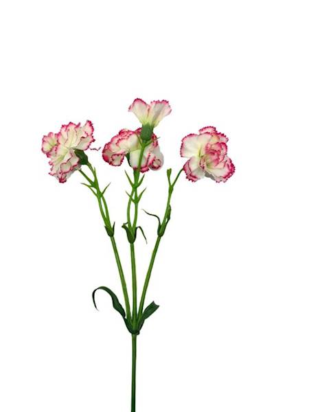 Goździk na gałązce 64 cm kremowo różowy