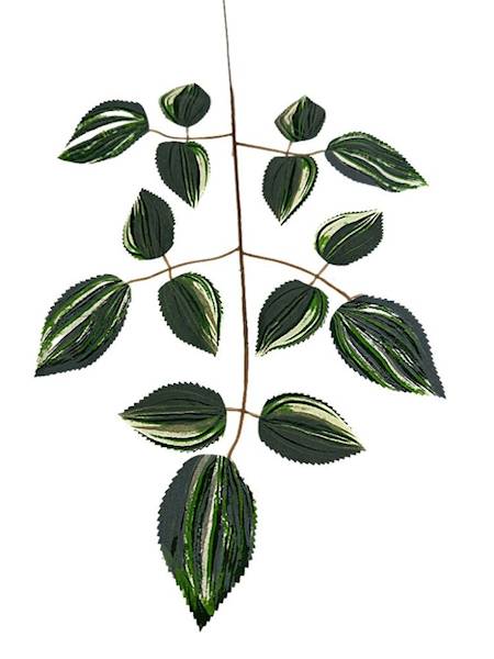 Liść trzykrotki omszony 54 cm zielono biały