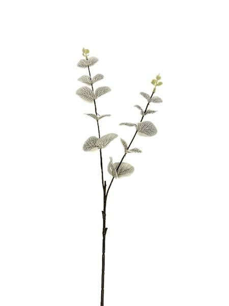 Eukaliptus gałązka 64 cm kremowy
