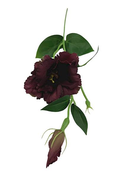 Eustoma gałązka 48 cm ciemny brąz