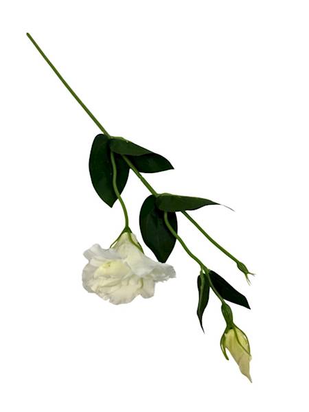 Eustoma gałązka 48 cm biała