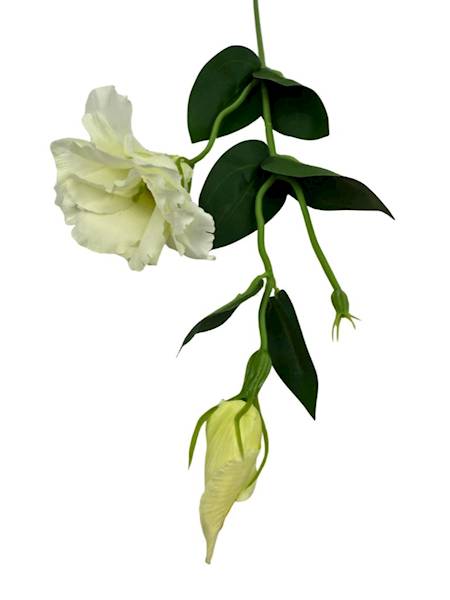 Eustoma gałązka 48 cm biała