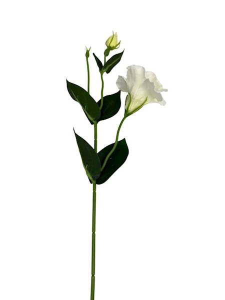 Eustoma gałązka 48 cm biała