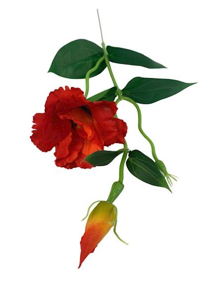 Eustoma gałązka 48 cm ciemny pomarańczowy