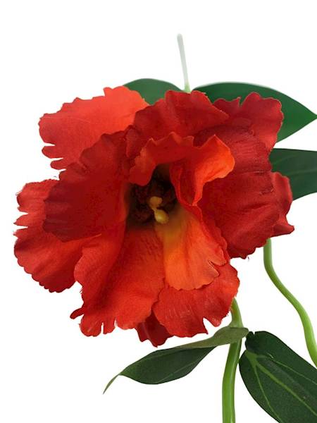 Eustoma gałązka 48 cm ciemny pomarańczowy