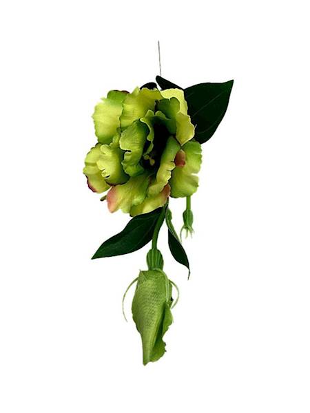 Eustoma gałązka 48 cm zielona z bordowymi akcentam