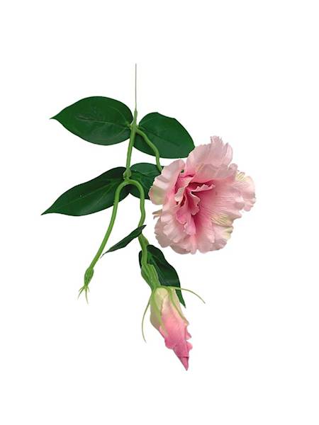 Eustoma gałązka 48 cm różowa