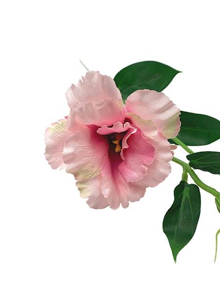 Eustoma gałązka 48 cm różowa