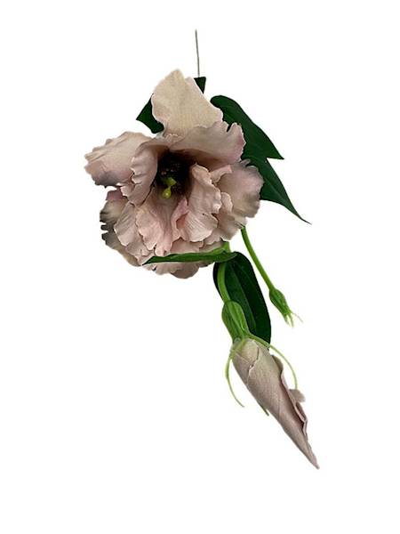 Eustoma gałązka 48 cm delikatny brąz