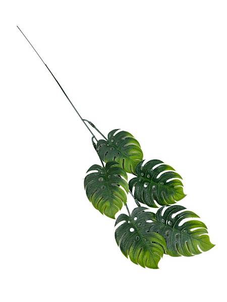 Monstera gałązka 55 cm jasno zielona
