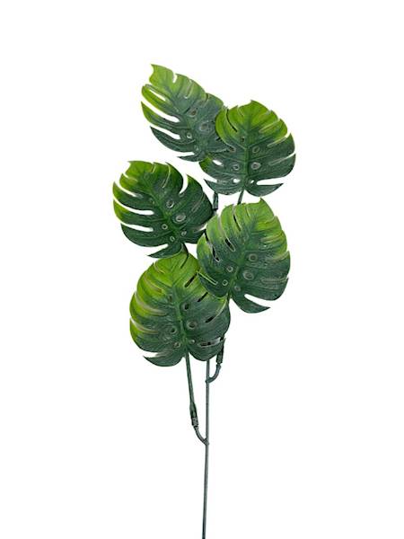 Monstera gałązka 55 cm jasno zielona