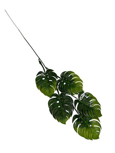 Monstera gałązka 55 cm zielona