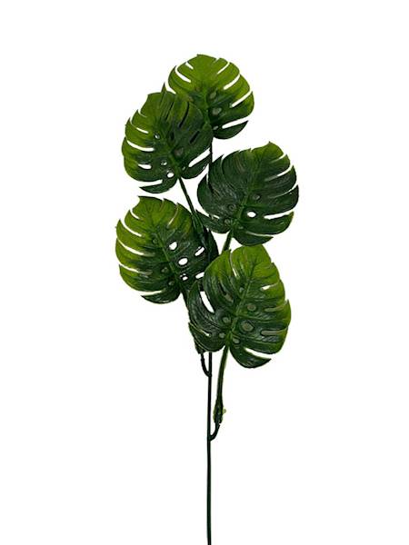 Monstera gałązka 55 cm zielona