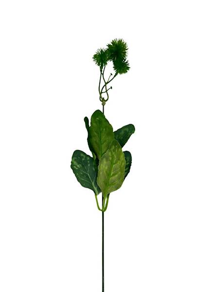 Dodatek czosnek 50 cm zielony