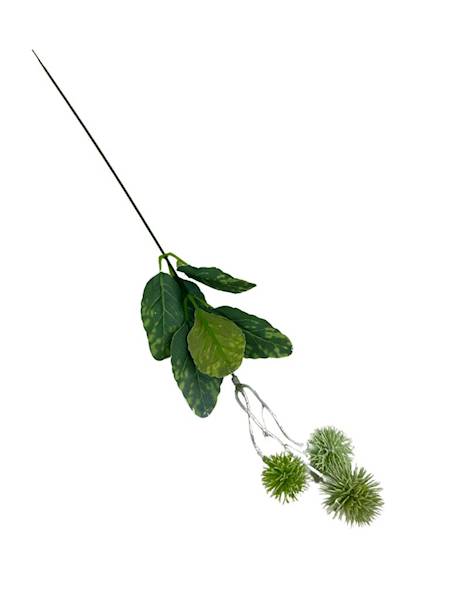 Dodatek czosnek 50 cm jasno zielony