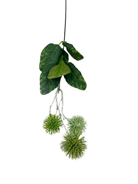 Dodatek czosnek 50 cm jasno zielony