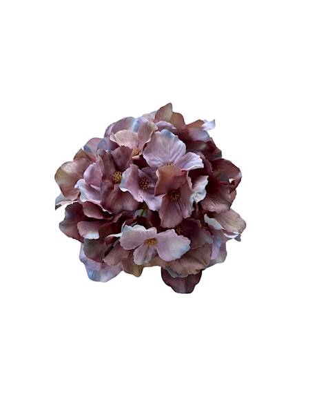 Hortensja główka 17 cm jasny brąz