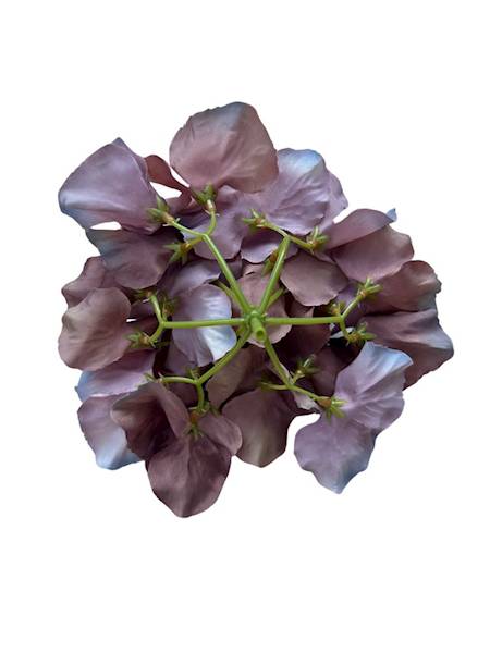 Hortensja główka 17 cm jasny brąz