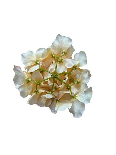 Hortensja główka 17 cm beżowa