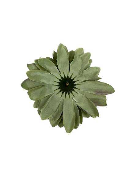 Dalia główka 11 cm zielona