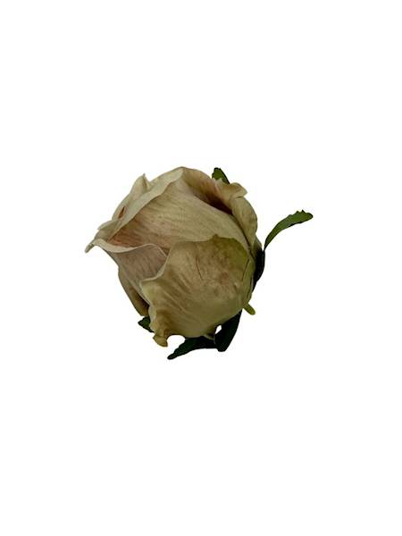 Róża główka 6 cm beż i brąz