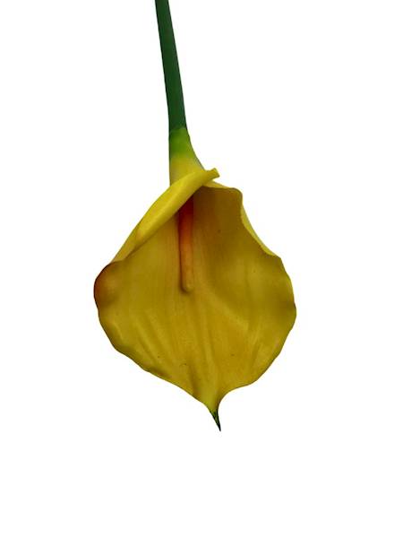 Kalia gumowa gałązka 70 cm żółta