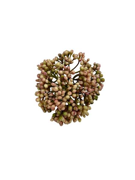 CZOSNEK GŁÓWKA 8 CM KREMOWO RÓŻOWY