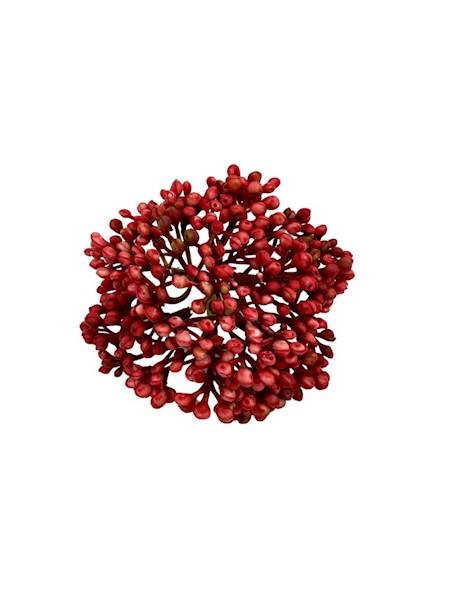 CZOSNEK GŁÓWKA 8 CM CZERWONY