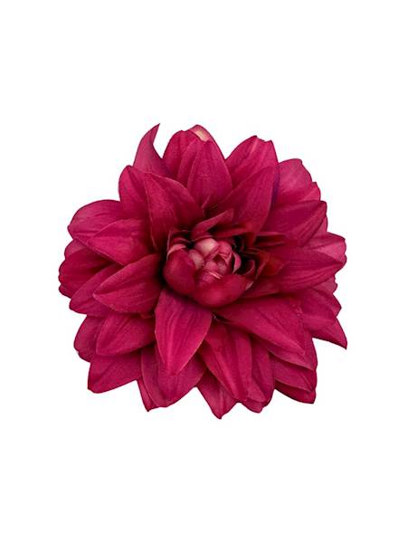 Dalia główka 14 cm mocny róż