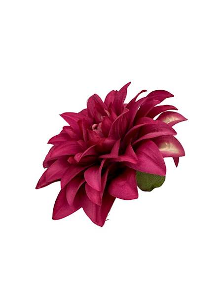 Dalia główka 14 cm mocny róż