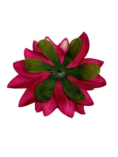 Dalia główka 14 cm mocny róż