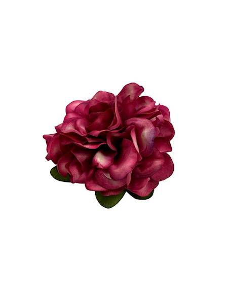 Cynia główka 10 cm ciemny róż