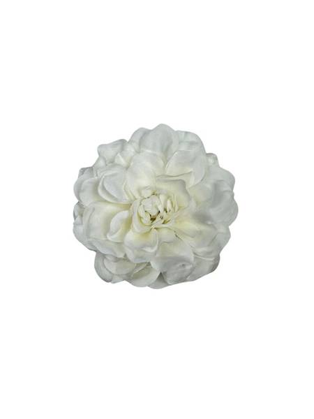 Cynia główka 10 cm biała